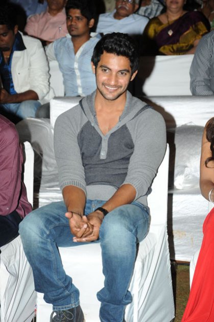 Pyaar-Mein-Padipoyane-Audio-Launch